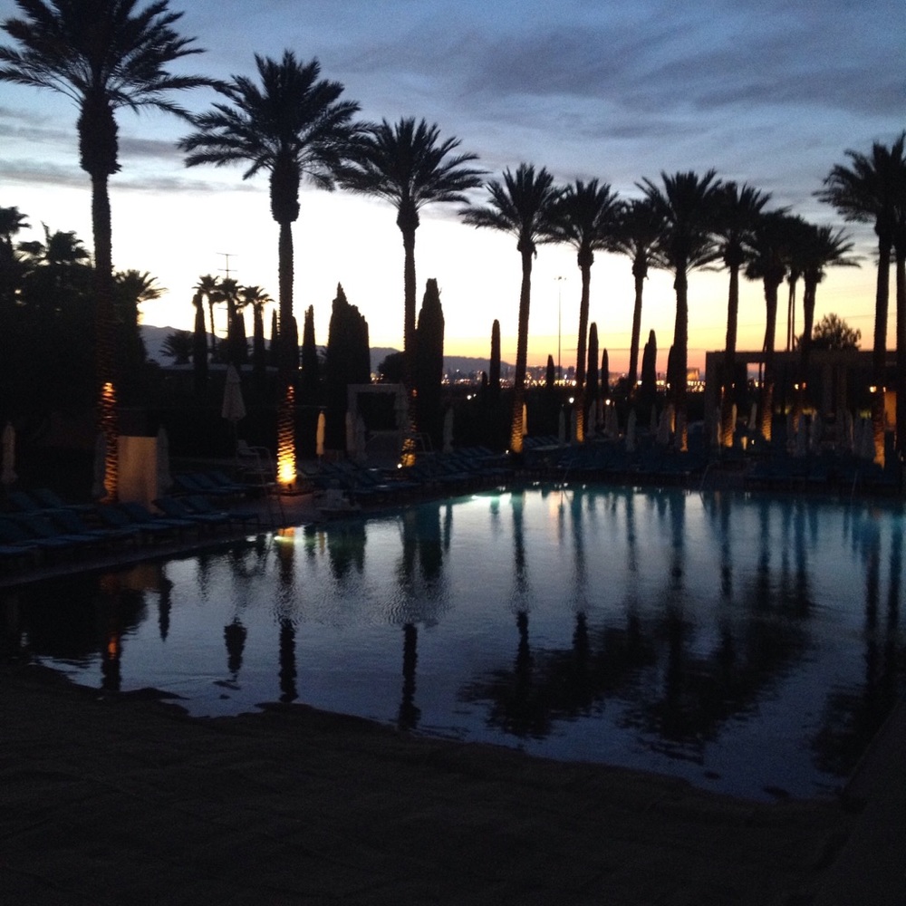 Meet your Posher, Tj